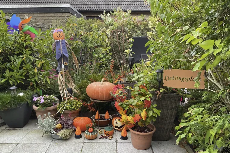 Urlaub auf Norderney – Herbst, Winter und festliche Momente Bild: Urlaub auf Norderney – Herbst, Winter und festliche Momente