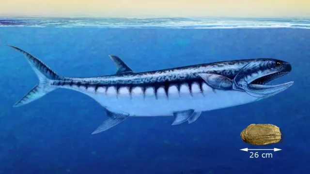 Bild: Large-Mouthed Fish Was Top Predator After Mass Extinction