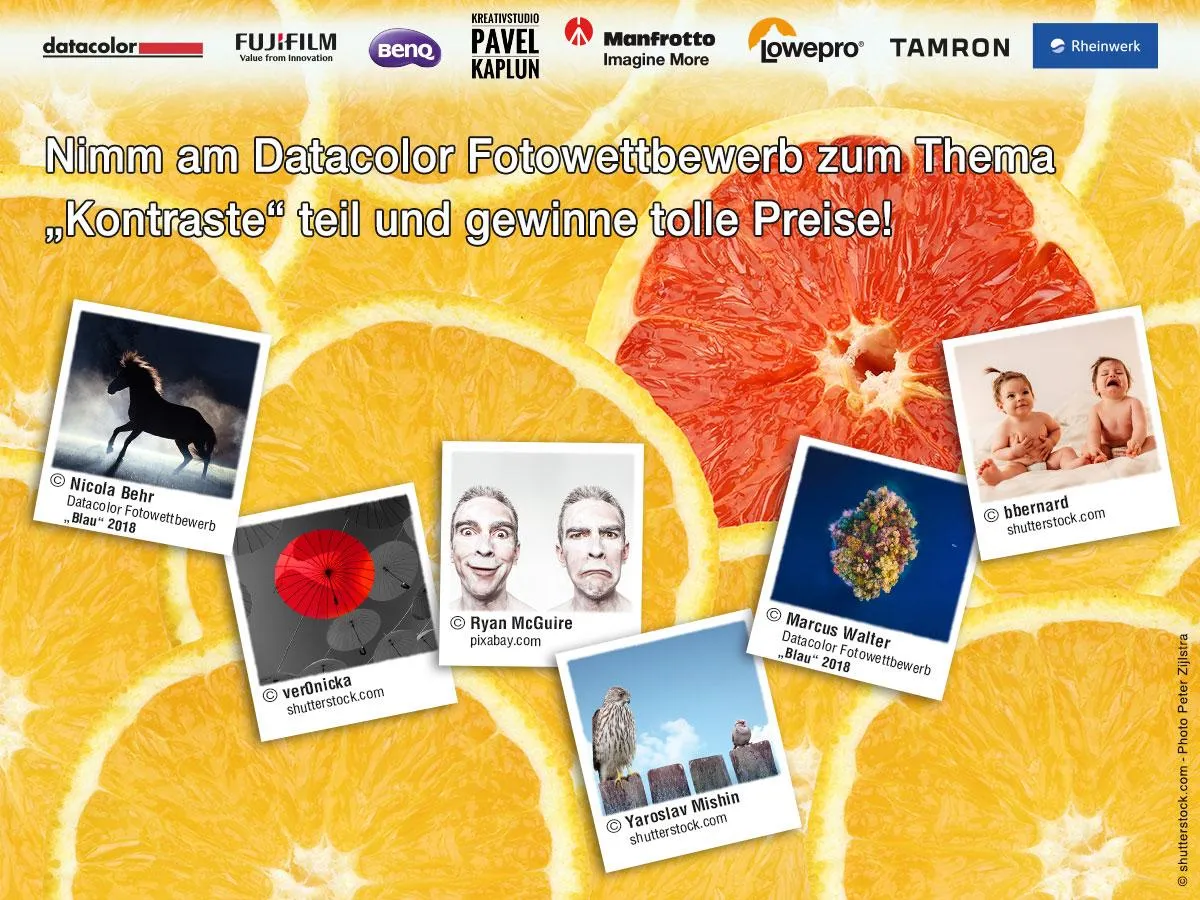 Datacolor startet Fotowettbewerb zum Thema „Kontraste“