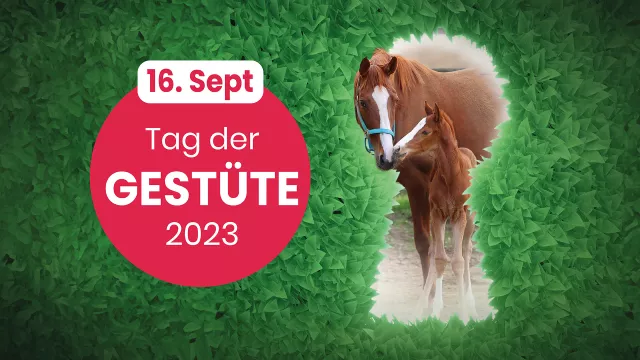 Bild: Der deutsche Galopp und die Vollblutgestüte laden zum Tag der Gestüte ein.
