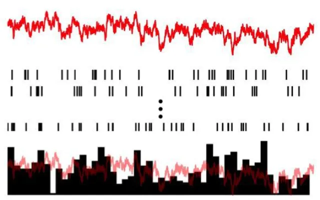 Bild: Anwendungen und Beschränkungen linearer Antwortfunktionen in neuronalen Netzwerkmodellen