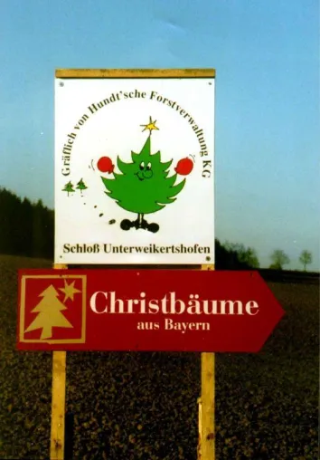 (N)Adelbäume aus dem Weikertshofer Winterwald Bild: (N)Adelbäume aus dem Weikertshofer Winterwald