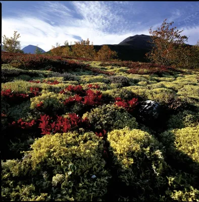 Bild: Fotoreise zum „Indian Summer“ in Rondane/Norwegen