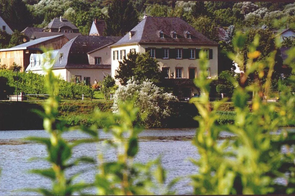 Spitzenweingut S.A. Prüm bei BELVINI.DE