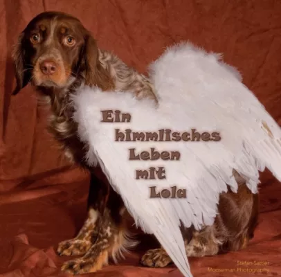 Bild: Ein himmlisches Leben mit Lola - Ein wunderbares Hunde-Fotobuch