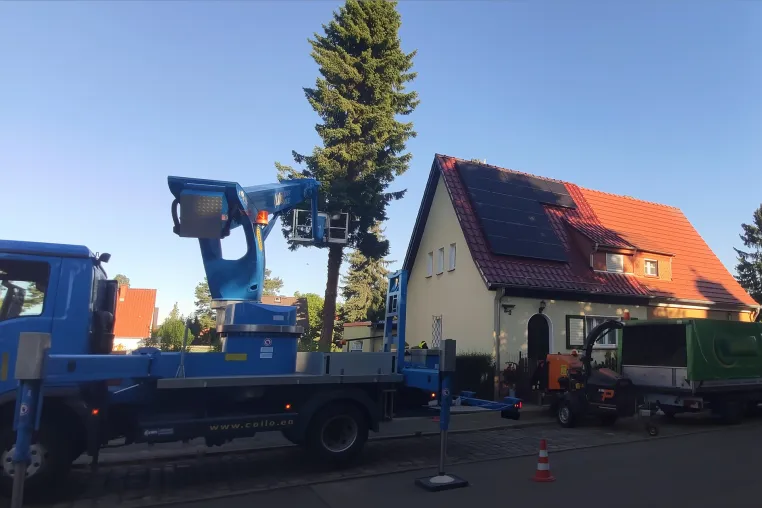 Effiziente Baumfällung mit einer Hebebühne durch Fachkräfte der Baumpflege Kasper GmbH Bild: Effiziente Baumfällung mit einer Hebebühne durch Fachkräfte der Baumpflege Kasper GmbH