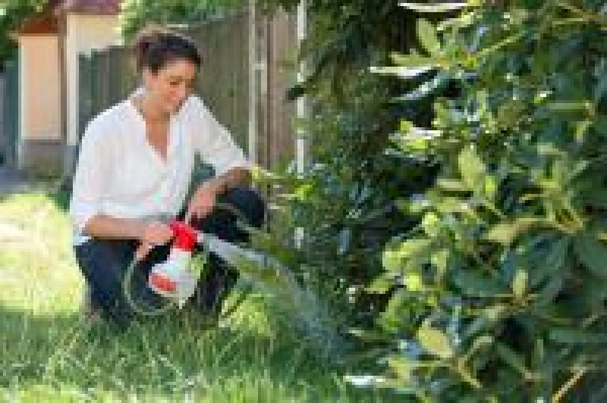 (c)Birchmeier: Mit dem AquaNemix Nematoden einfach ausbringen