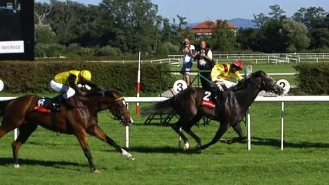 Bild: Renntag 30. September auf der Neuen Bult mit Ehrung für Electric Beat