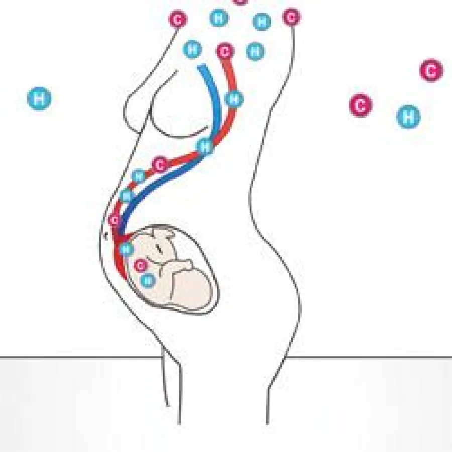 Die ionisierende Strahlung aus den Atomkraftwerken scheint das Erbgut von Embryonen zu schädigen.