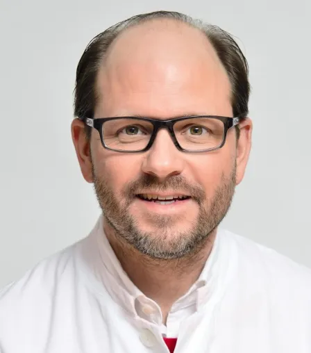 Blutgefäße erziehen Entzündungszellen Bild: Blutgefäße erziehen Entzündungszellen