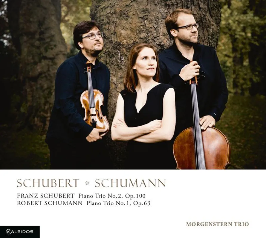 Schubert-Schumann