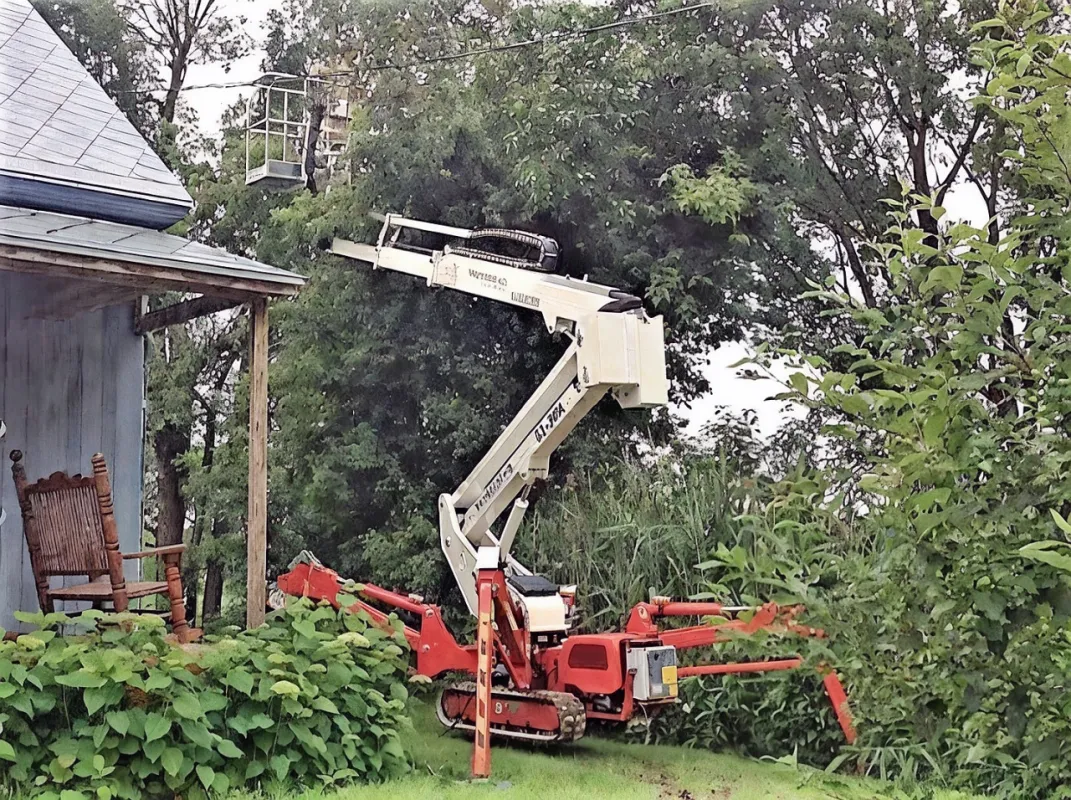 Raupen-Arbeitsbühnen bei Baumarbeiten in einem Garten