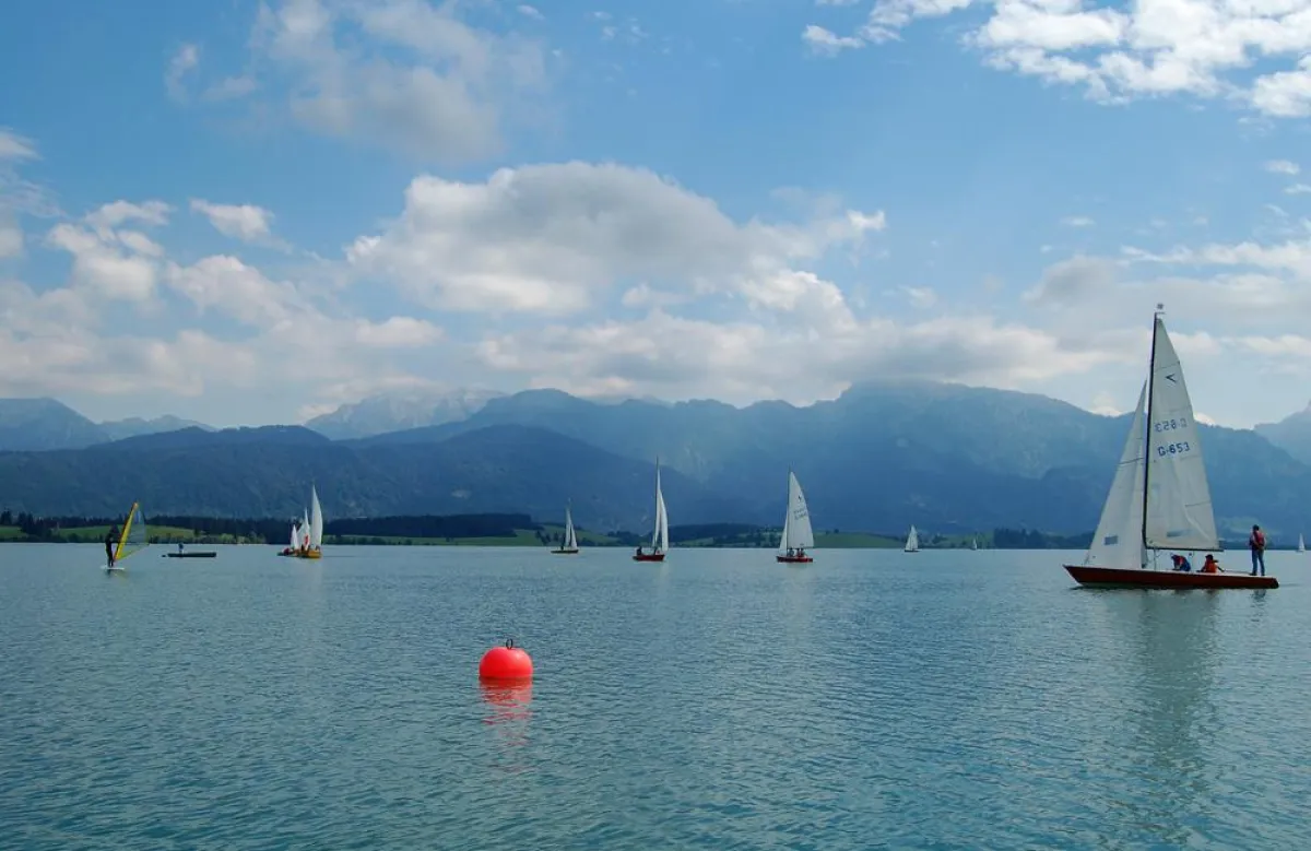 Segeln lernen am Forggensee im Allgäu - Alpenkulisse inklusive
