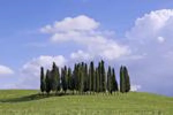 Bild: Foto-Reise südl. Toskana/Umbrien vom 19.-28.09.2007 mit FotoCampus Claus Brandt