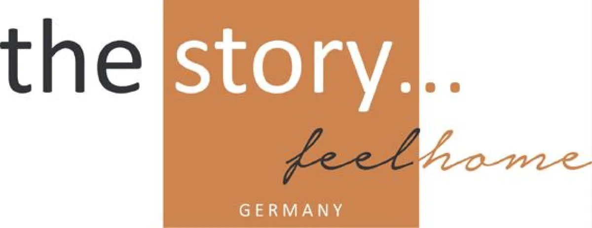 the story Logo