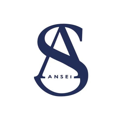 Bild: Website-Check gratis: ANSEI macht Unternehmen online sichtbar