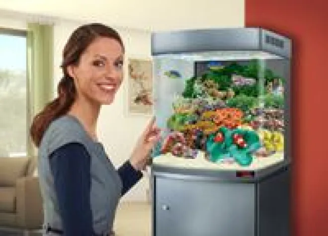 Bild: Wo die Sonne auf- und untergeht