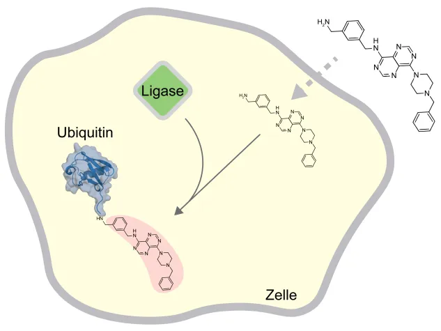 Bild: Überraschend etikettiert