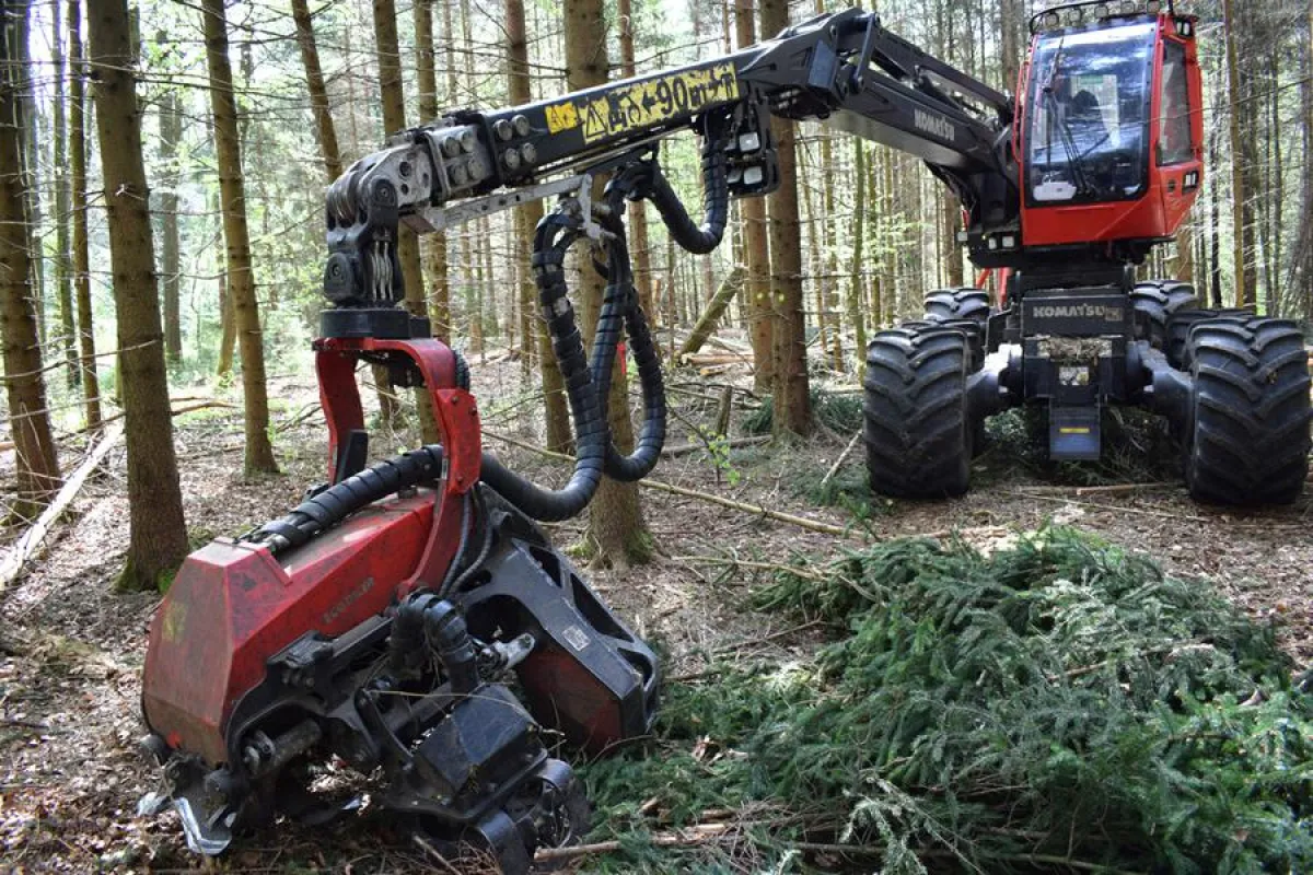 Divinol Bio-Kettenöl HV für Holzvollernter (Harvester)