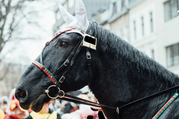 Position beziehen: Aktion „Rote Karte“ zeigen am Rosenmontag Bild: Position beziehen: Aktion „Rote Karte“ zeigen am Rosenmontag
