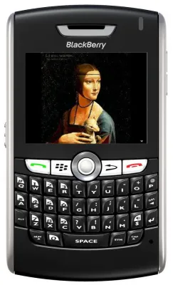 Der Brockhaus multimedial mobil 2009 für BlackBerry Handys und Smartphones Bild: Der Brockhaus multimedial mobil 2009 für BlackBerry Handys und Smartphones