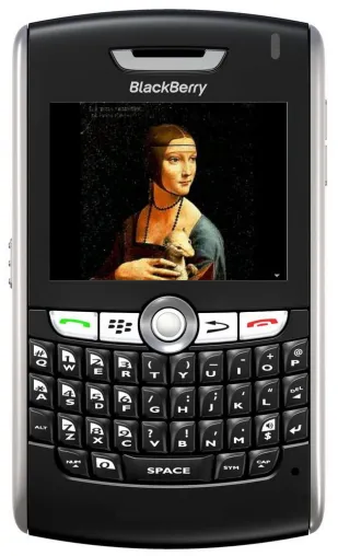 Bild: Der Brockhaus multimedial mobil 2009 für BlackBerry Handys und Smartphones