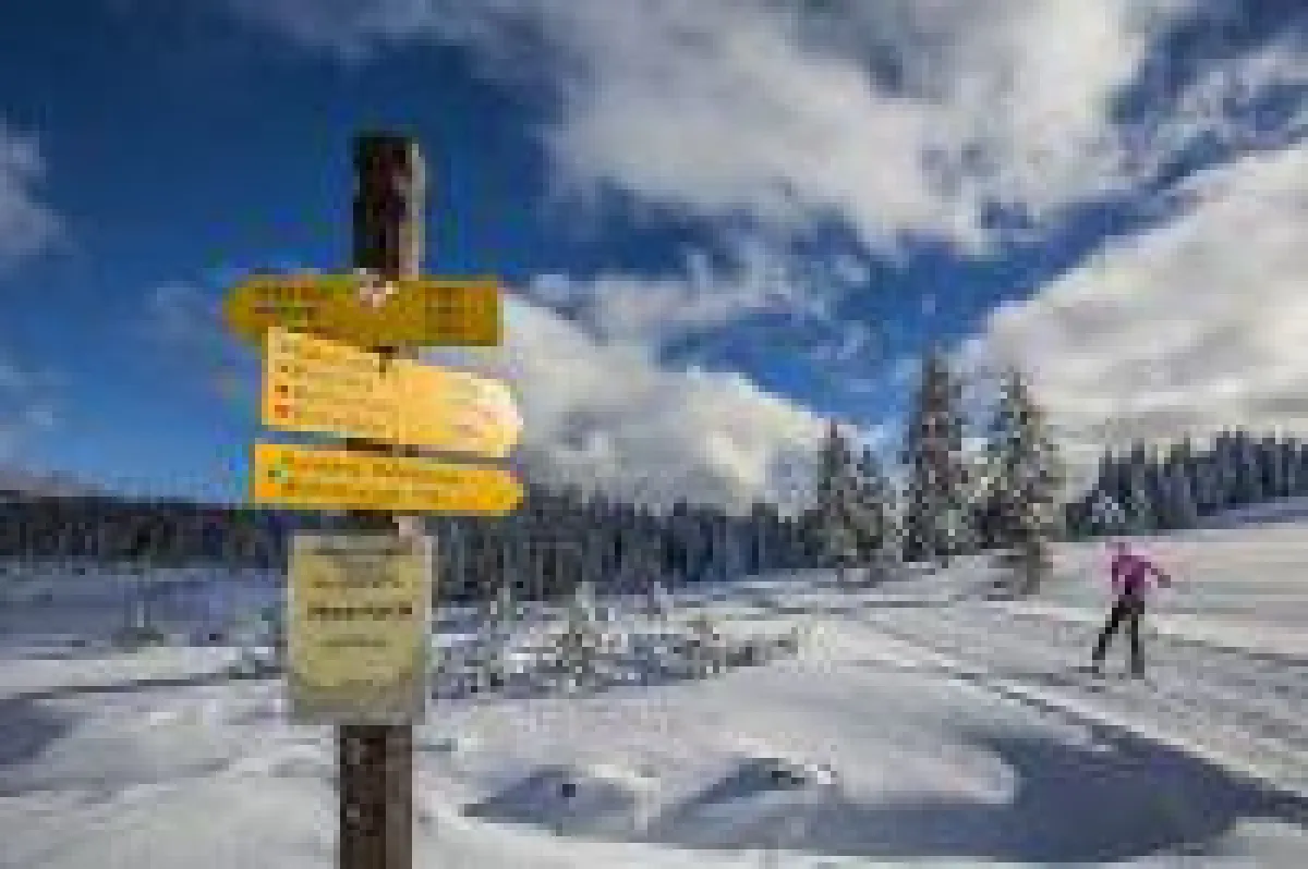 Langlaufen auf der Winklmoosalm bei Reit im Winkl © Chiemgau Tourismus e.V.