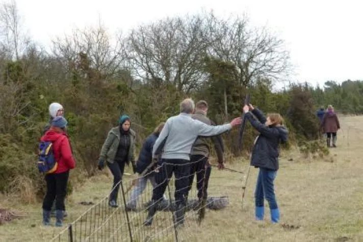 Bild: Hilfe beim Herdenschutz – Backhaus begrüßt freiwillige Initiativen im Land
