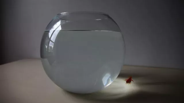 Bild: BILDFROST (frozenness)