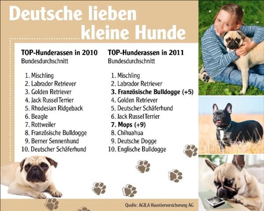 AGILA zeigt die beliebtesten Hunderassen 2011 (Grafik nur mit dieser Pressemitteilung verwenden)