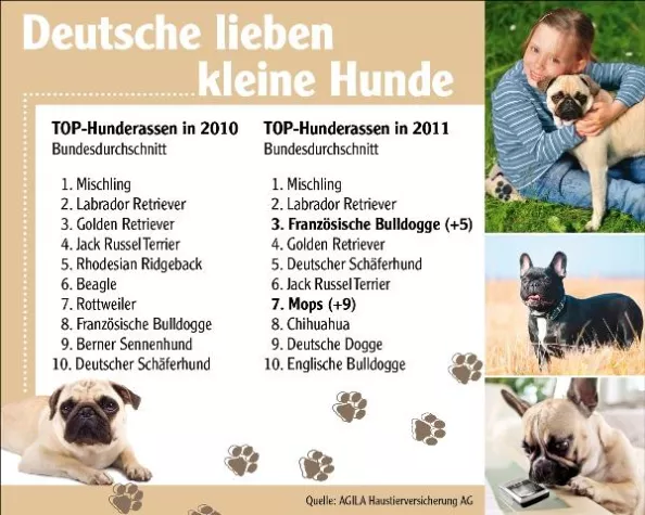 Bild: Deutsche lieben kleine Hunde: Statistik der Hundeversicherung AGILA präsentiert die begehrtesten Rassen 2011