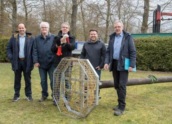 Bild: Ein Storchenpaar bekommt ein Zuhause