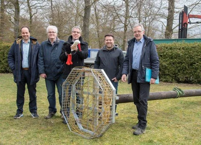 Ein Storchenpaar bekommt ein Zuhause Bild: Ein Storchenpaar bekommt ein Zuhause