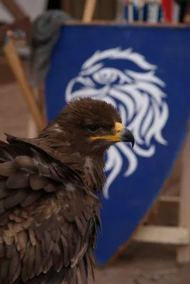 Bild: Falken ultima mit historischem Jagdlager im Schlosspark Laubach