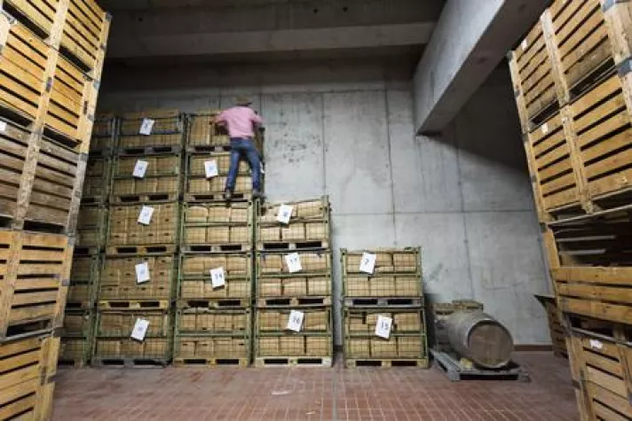 Bild: VINUM verkauft Deutschlands verrückteste Weinsammlung für den guten Zweck