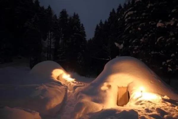 Bild: Coole Nacht