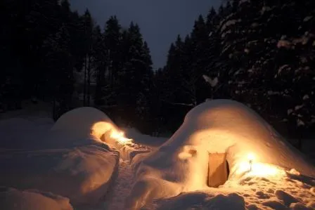Bild: Coole Nacht