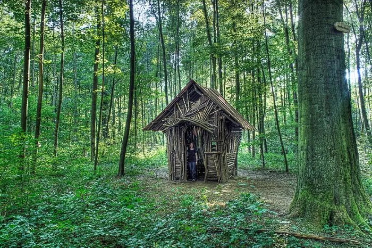 Joan Backes: Forest House, Foto Rolf Gönner