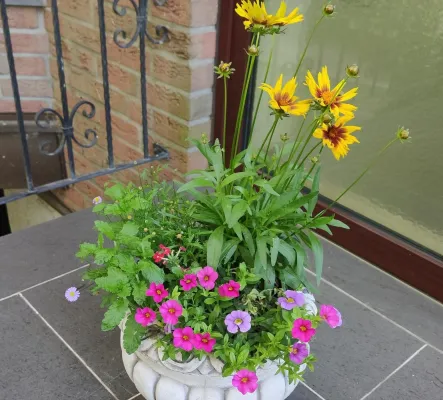 Bild: Partei Wir2020 und katholische Kirche