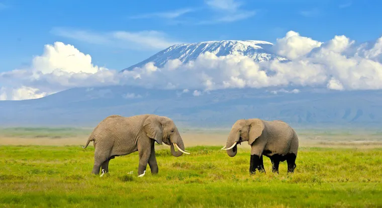 Bild: Tansania Gruppenreisen in kleiner Reisegruppe