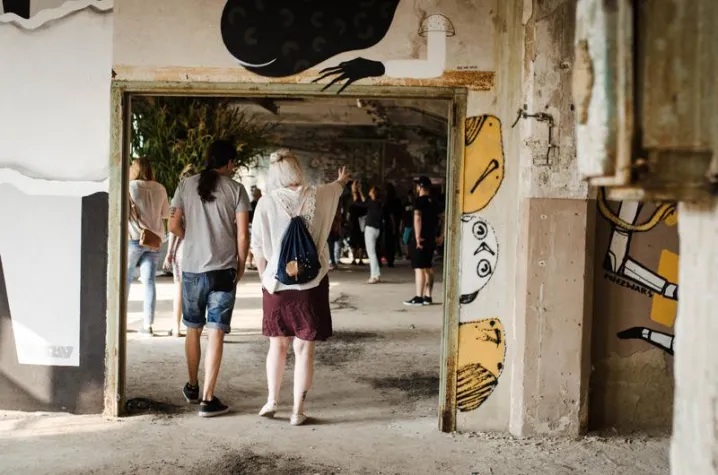 Bild: ibug 2017: Kunstfestival in Chemnitz endet mit Besucherrekord