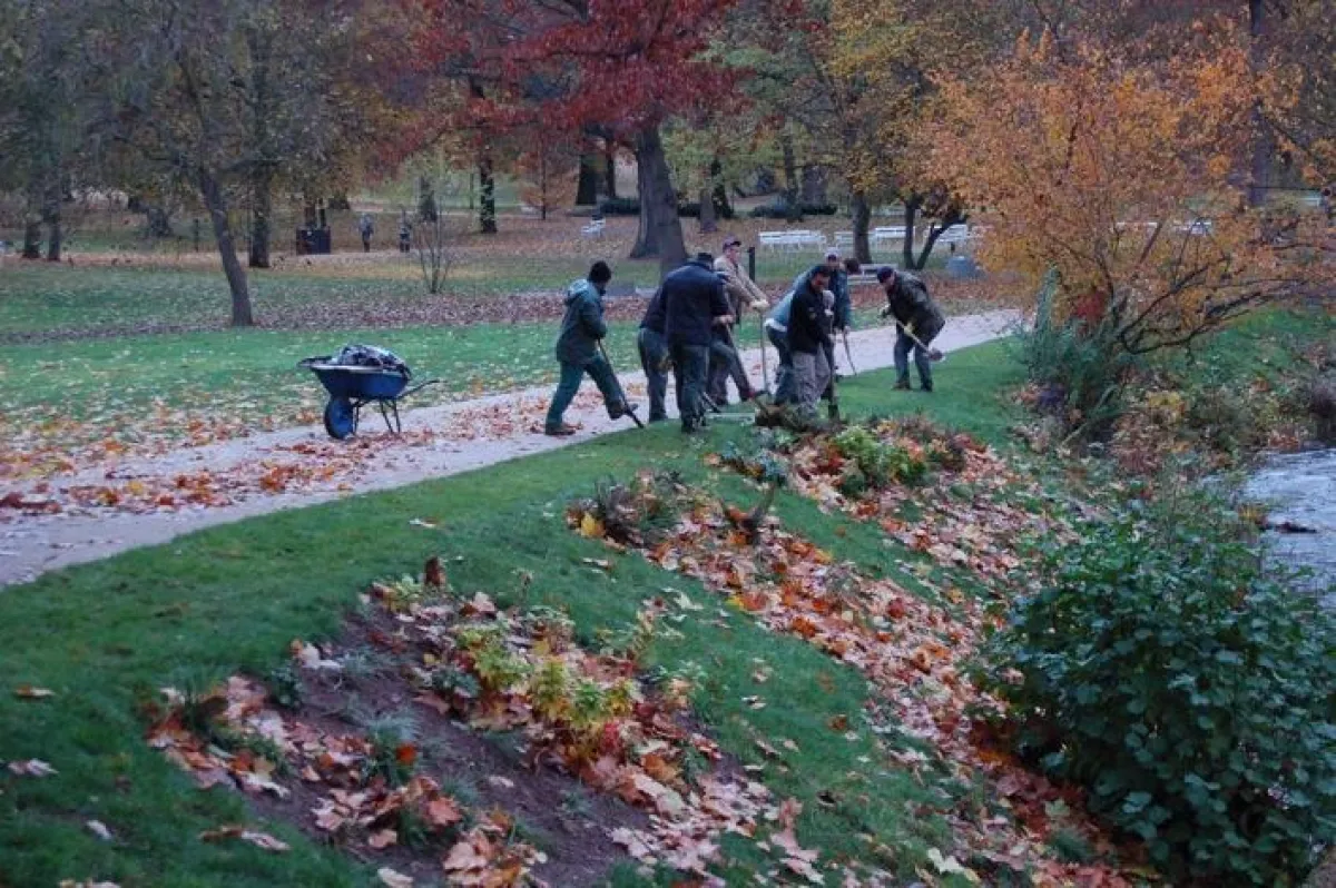 Die Gärtner bei der Pflanzaktion im Kurpark Bad Nauheim.