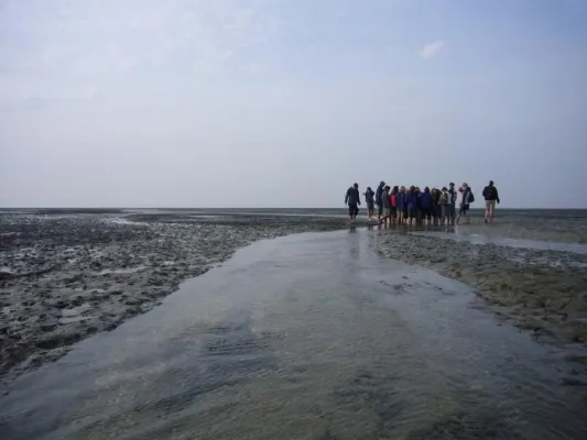 Bild: Wer, Wie, Watt? – Nutzungen und Schutz des Wattenmeers im Blick