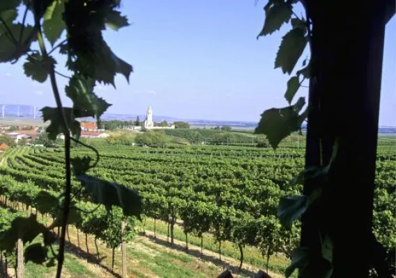 Bild: WEINREISEN VOR DEN TOREN WIENS:Genuss auf historischem Boden