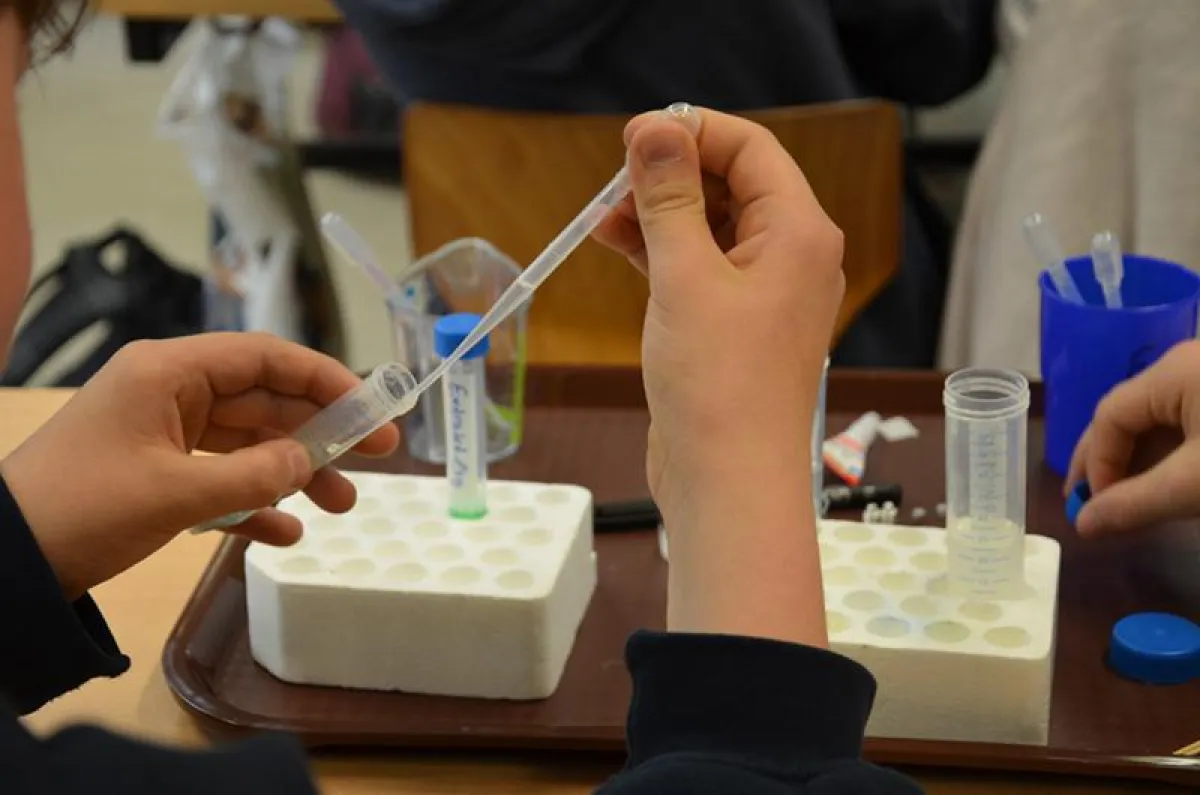 IB-VBO: Schülerinnen und Schüler arbeiten praktisch und erfahren mehr über Berufe.