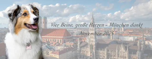 Bild: Charity-Projekt "Vier Beine, große Herzen - München dankt"