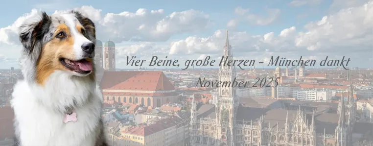 Charity-Projekt "Vier Beine, große Herzen - München dankt" Bild: Charity-Projekt "Vier Beine, große Herzen - München dankt"