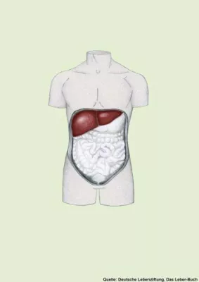Essen bis der Arzt kommt Bild: Essen bis der Arzt kommt