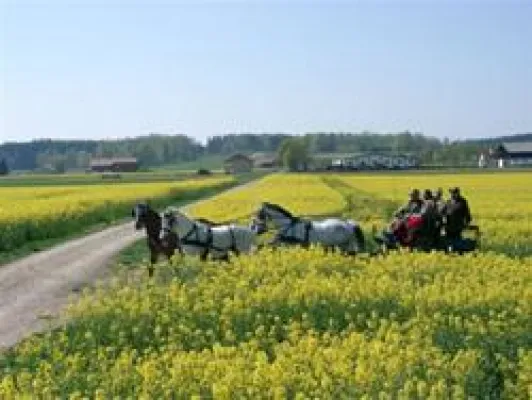 Bild: „Fit ins Frühjahr“ für Fahrer und Gespanne