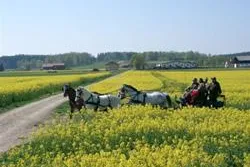 Bild: „Fit ins Frühjahr“ für Fahrer und Gespanne